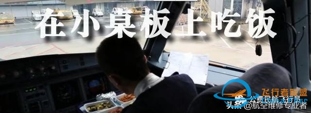 我是這樣開飛機的，一舉一動全部給你看清-490