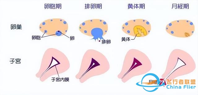 女航天員去太空時，為何要吃避孕藥？在飛船中到底會發生什么？-7270
