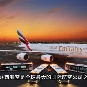 全球最大的國際航空公司之一——阿聯(lián)酋航空